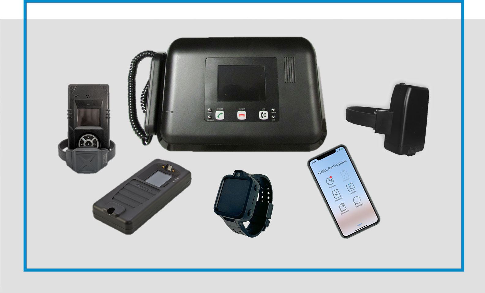 Electronic Monitoring Devices